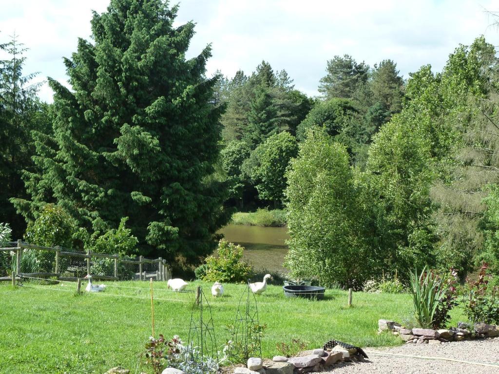 Chambres D'Hotes Logis De L'Etang De L'Aune Iffendic Екстериор снимка